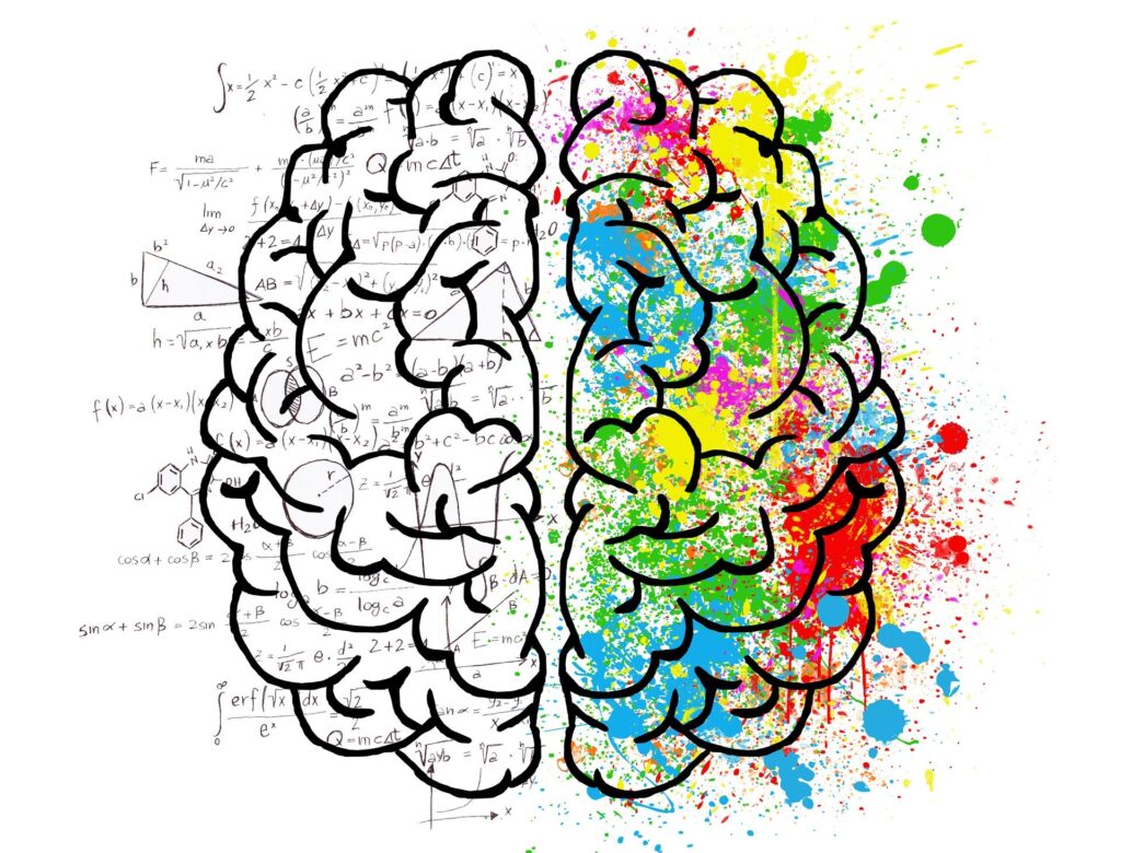 Comprendre comment notre cerveau fonctionne pour développer sa créativité